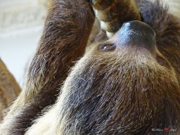 Tiergarten Schönbrunn am 23.03.2023